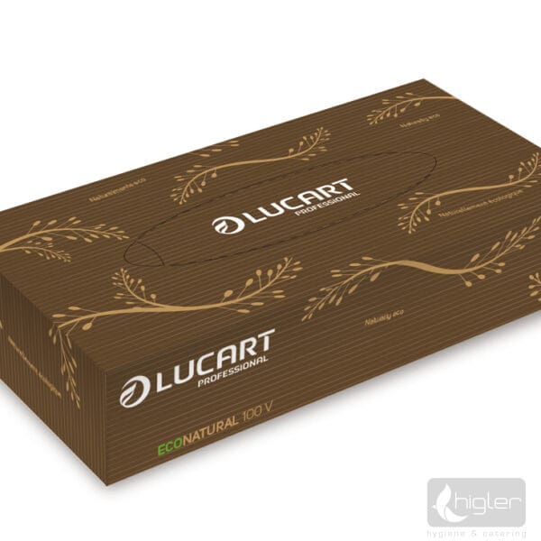 Lucart Econatural 100V